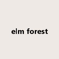 elm forest是什么意思