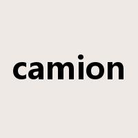camion是什么意思