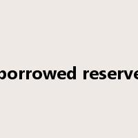 borrowed reserve是什么意思