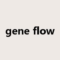 gene flow是什么意思