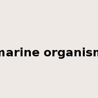 marine organism是什么意思
