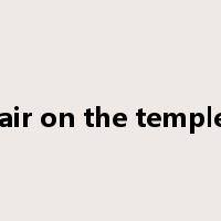 hair on the temples是什么意思