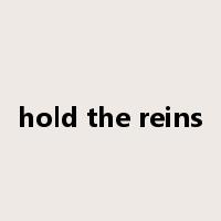 hold the reins是什么意思