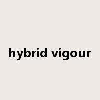 hybrid vigour是什么意思