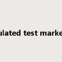 simulated test marketing是什么意思
