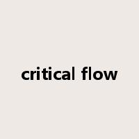 critical flow是什么意思