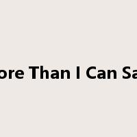 More Than I Can Say-是什么意思