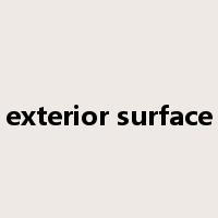 exterior surface是什么意思