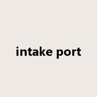 intake port是什么意思