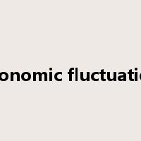 economic fluctuation是什么意思