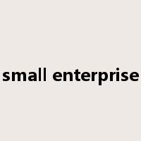 small enterprise是什么意思