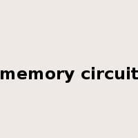 memory circuit是什么意思