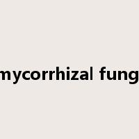 mycorrhizal fungi是什么意思