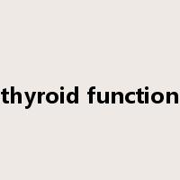 thyroid function是什么意思