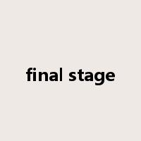 final stage是什么意思