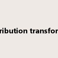 distribution transformer是什么意思