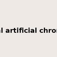 Bacterial artificial chromosome是什么意思
