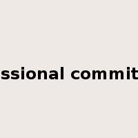 professional commitment是什么意思