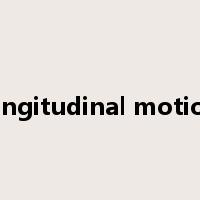 longitudinal motion是什么意思