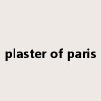 plaster of paris是什么意思