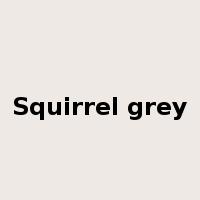 Squirrel grey是什么意思
