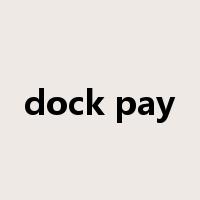 dock pay是什么意思