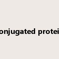 conjugated protein是什么意思