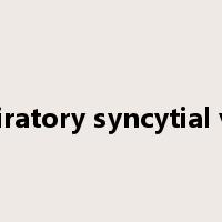 respiratory syncytial virus是什么意思