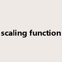 scaling function是什么意思