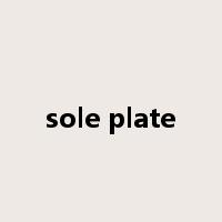 sole plate是什么意思