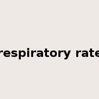 respiratory rate是什么意思
