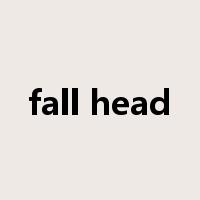 fall head是什么意思
