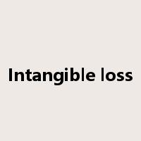 Intangible loss是什么意思