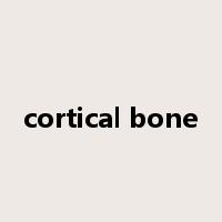 cortical bone是什么意思