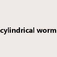 cylindrical worm是什么意思