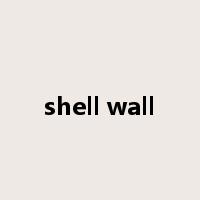 shell wall是什么意思