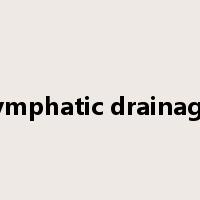 lymphatic drainage是什么意思