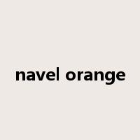 navel orange是什么意思