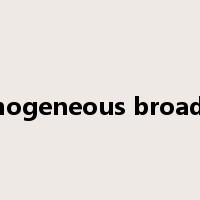 Inhomogeneous broadening是什么意思