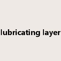 lubricating layer是什么意思