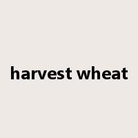 harvest wheat是什么意思