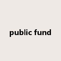 public fund是什么意思