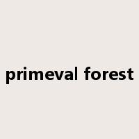 primeval forest是什么意思