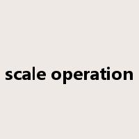 scale operation是什么意思