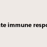 innate immune response是什么意思