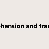 comprehension and translation是什么意思