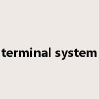 terminal system是什么意思