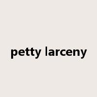 petty larceny是什么意思