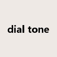 dial tone是什么意思