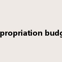 appropriation budget是什么意思